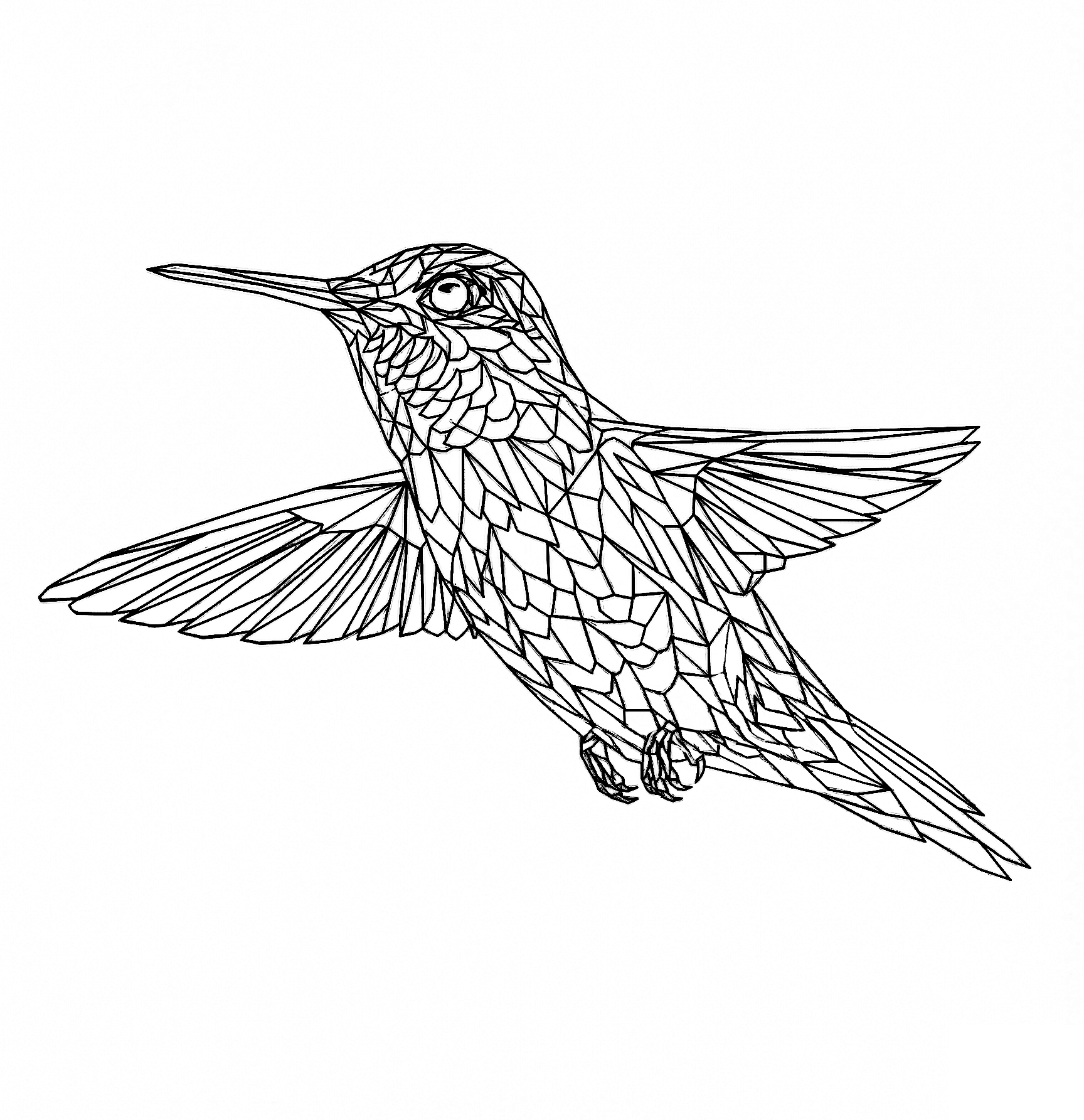 Upstroke hummingbird